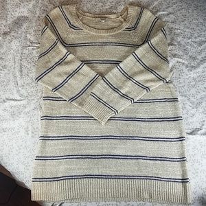 Madewell blue striped sweater